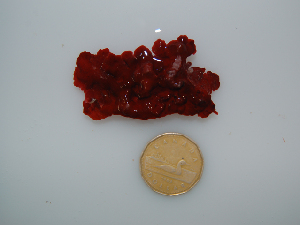  ( - BDA0124)  @11 [ ] Unspecified (default): All Rights Reserved  Unspecified Unspecified