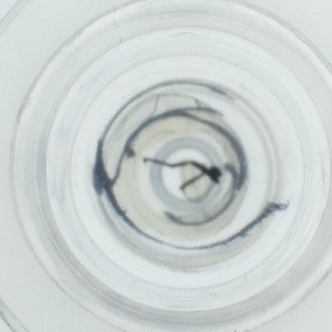  ( - EWTA_001_C4)  @11 [ ] by  Genome Research Ltd as Wellcome Sanger Institute Genome Research Limited operating as Wellcome Sanger Institute