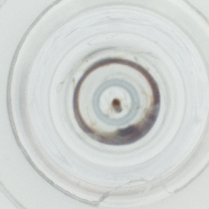  ( - EWTA_014_E7)  @11 [ ] by  Genome Research Ltd as Wellcome Sanger Institute Genome Research Limited operating as Wellcome Sanger Institute