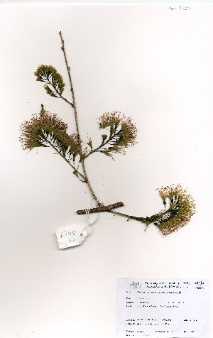  ( - OM3507)  @11 [ ] No Rights Reserved  Unspecified Unspecified