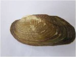  ( - SBM27)  @12 [ ] Unspecified (default): All Rights Reserved  Unspecified Unspecified