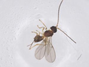  ( - CBG-B02592-F10)  @11 [ ] CreativeCommons - Attribution Share - Alike (2025) Centre for Biodiversity Genomics Centre for Biodiversity Genomics