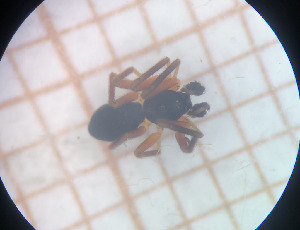  ( - BGE_00457_G04)  @11 [ ] CreativeCommons Attribution NonCommercial ShareAlike (2021) (2025) University of Lodz University of Lodz