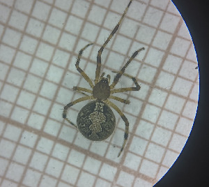  ( - BGE_00459_E07)  @11 [ ] CreativeCommons Attribution NonCommercial ShareAlike (2021) (2025) University of Lodz University of Lodz