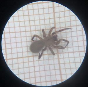  ( - BGE_00459_H06)  @11 [ ] CreativeCommons Attribution NonCommercial ShareAlike (2021) (2025) University of Lodz University of Lodz