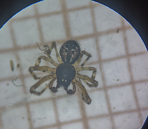  ( - BGE_00461_D07)  @11 [ ] CreativeCommons Attribution NonCommercial ShareAlike (2021) (2025) University of Lodz University of Lodz