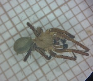  ( - BGE_00461_E02)  @11 [ ] CreativeCommons Attribution NonCommercial ShareAlike (2021) (2025) University of Lodz University of Lodz