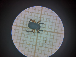  ( - BGE_00807_C05)  @11 [ ] CreativeCommons Attribution NonCommercial ShareAlike (2021) (2025) University of Lodz University of Lodz