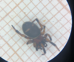  ( - BGE_00808_A06)  @11 [ ] CreativeCommons Attribution NonCommercial ShareAlike (2021) (2025) University of Lodz University of Lodz