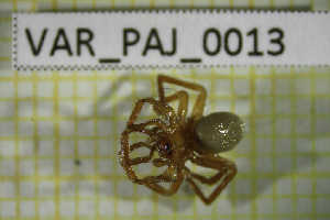  ( - BGE_00810_H09)  @11 [ ] CreativeCommons Attribution NonCommercial ShareAlike (2021) (2025) University of Lodz University of Lodz