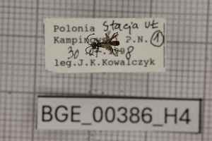  ( - BGE_00386_H04)  @11 [ ] CreativeCommons - Attribution Non-Commercial Share-Alike (2025) KZBiH, University of Lodz Department of Invertebrate Zoology and Hydrobiology, University of Lodz