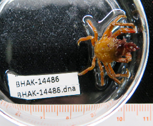  ( - BHAK-14486)  @11 [ ] CreativeCommons Attribution Non-Commercial No Derivatives (2025) Matt Lemay Hakai Institute