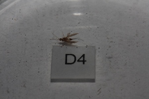  ( - HMCAD1211-40)  @12 [ ] Unspecified (default): All Rights Reserved  Unspecified Unspecified