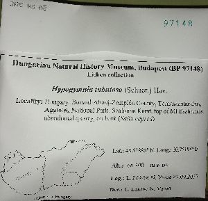  ( - BGE_00153_A08)  @11 [ ] Copyright (c) (2024) HNHM Hungarian National Museum Public Collection Centre - Hungarian Natural History Museum