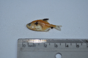  ( - LBPV_1481_12703)  @13 [ ] Unspecified (default): All Rights Reserved  Unspecified Unspecified