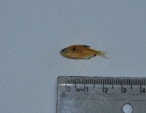  ( - LBPV_1481_12707)  @13 [ ] Unspecified (default): All Rights Reserved  Unspecified Unspecified