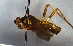  ( - MECN_EN_7389)  @11 [ ] CC-BY-NC-ND (2024) INABIO INABIO