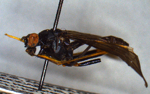  ( - MECN_EN_7390)  @11 [ ] CC-BY-NC-ND (2024) INABIO INABIO