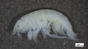  ( - CRD20-MC2E-A012)  @11 [ ] C (2024) Tara Macdonald Biologica Environmental Services Ltd.