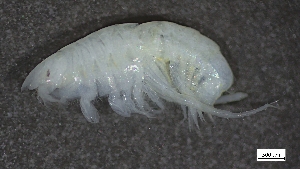  ( - CRD20-MC2E-A013)  @11 [ ] C (2024) Tara Macdonald Biologica Environmental Services Ltd.