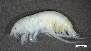  ( - CRD20-MC2E-A014)  @11 [ ] C (2024) Tara Macdonald Biologica Environmental Services Ltd.