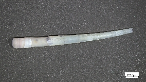  ( - EC22-PG-M004)  @11 [ ] C (2024) Tara Macdonald Biologica Environmental Services Ltd.