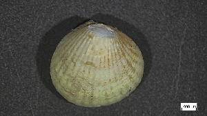  ( - EC22-PG-M007)  @11 [ ] C (2024) Tara Macdonald Biologica Environmental Services Ltd.