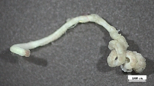  ( - H22-RB17-AN014)  @11 [ ] C (2024) Tara Macdonald Biologica Environmental Services Ltd.