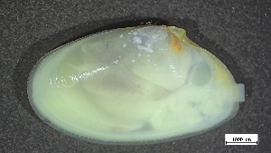  ( - HAT22-RB-M006)  @11 [ ] C (2024) Tara Macdonald Biologica Environmental Services Ltd.