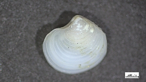  ( - MV22-IO-M001)  @11 [ ] C (2024) Tara Macdonald Biologica Environmental Services Ltd.