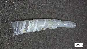  ( - MV22-IO-M007)  @11 [ ] C (2024) Tara Macdonald Biologica Environmental Services Ltd.