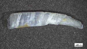  ( - MV22-IO-M008)  @11 [ ] C (2024) Tara Macdonald Biologica Environmental Services Ltd.