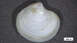  ( - MV22-IO-M012)  @11 [ ] C (2024) Tara Macdonald Biologica Environmental Services Ltd.