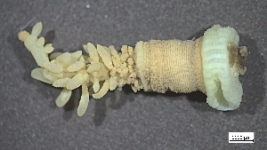  ( - MV22-IO-O010)  @11 [ ] C (2024) Tara Macdonald Biologica Environmental Services Ltd.