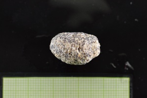  ( - MV22-LG8B-E006)  @11 [ ] C (2025) Tara Macdonald Biologica Environmental Services Ltd.