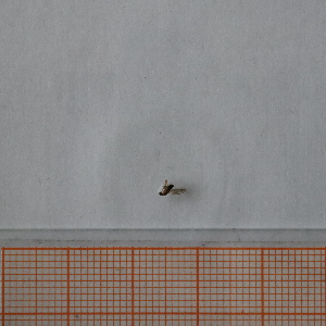  ( - VV8_5_Dip_03)  @11 [ ] CreativeCommons  Attribution Non-Commercial Share-Alike (2023) Unspecified University of Lodz