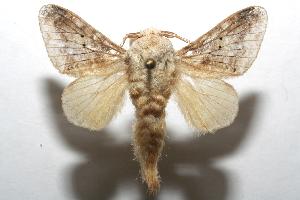  ( - 06-SRNP-106665)  @14 [ ] CreativeCommons - Attribution Non-Commercial Share-Alike (2007) Daniel H. Janzen Guanacaste Dry Forest Conservation Fund