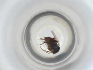  ( - ZMUO.068023)  @11 [ ] CreativeCommons - Attribution Share-Alike (2023) Centre for Biodiversity Genomics Centre for Biodiversity Genomics