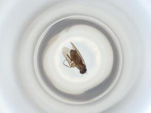  ( - ZMUO.069943)  @11 [ ] CreativeCommons - Attribution Share-Alike (2023) Centre for Biodiversity Genomics Centre for Biodiversity Genomics