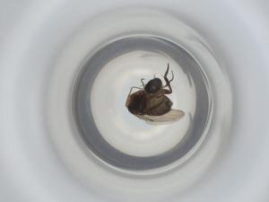  ( - ZMUO.070318)  @11 [ ] CreativeCommons - Attribution Share-Alike (2023) Centre for Biodiversity Genomics Centre for Biodiversity Genomics