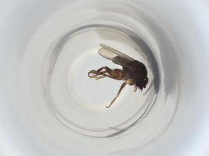  ( - ZMUO.071515)  @11 [ ] CreativeCommons - Attribution Share-Alike (2023) Centre for Biodiversity Genomics Centre for Biodiversity Genomics