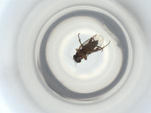  ( - ZMUO.074272)  @11 [ ] CreativeCommons - Attribution Share-Alike (2023) Centre for Biodiversity Genomics Centre for Biodiversity Genomics