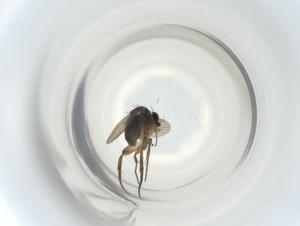  ( - ZMUO.074315)  @11 [ ] CreativeCommons - Attribution Share-Alike (2023) Centre for Biodiversity Genomics Centre for Biodiversity Genomics