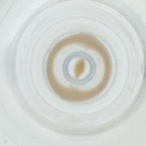  ( - NHMG_089_B7)  @11 [ ] by  Genome Research Ltd as Wellcome Sanger Institute Genome Research Limited operating as Wellcome Sanger Institute