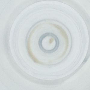  ( - NHMG_089_C6)  @11 [ ] by  Genome Research Ltd as Wellcome Sanger Institute Genome Research Limited operating as Wellcome Sanger Institute