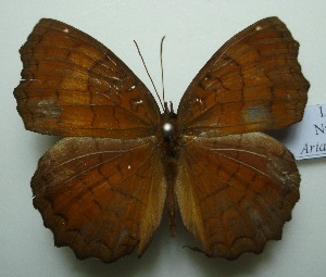  ( - UMKL-JJW0123)  @12 [ ] Unspecified (default): All Rights Reserved  Unspecified Unspecified