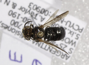  ( - ARG-14512-29)  @12 [ ] CreativeCommons - Attribution Non-Commercial Share-Alike (2012) Packer Collection York University York University