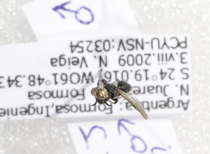  ( - ARG-14512-54)  @12 [ ] CreativeCommons - Attribution Non-Commercial Share-Alike (2012) Packer Collection York University York University