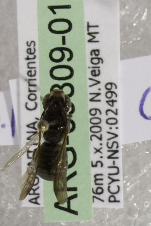  ( - ARG-09809-01)  @12 [ ] CreativeCommons - Attribution Non-Commercial Share-Alike (2011) Packer Collection York University York University