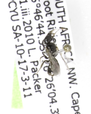  ( - 04483F12-ZAF)  @12 [ ] CreativeCommons - Attribution Non-Commercial Share-Alike (2010) Packer Collection at York University York University
